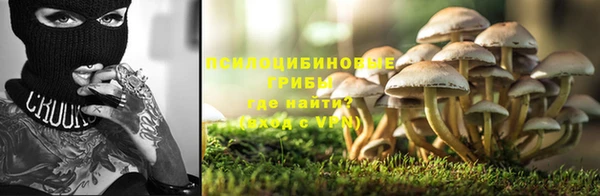 СК Гусев