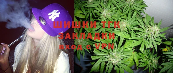 ешки Бикин
