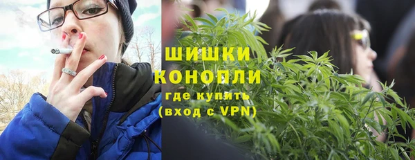 ешки Бикин