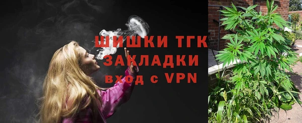 хмурый Билибино
