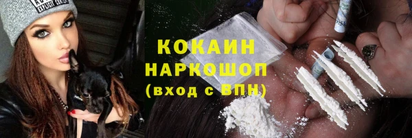 СК Гусев