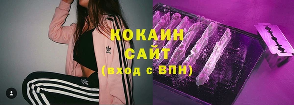 СК Гусев