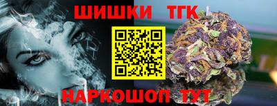 гашик Гатчина
