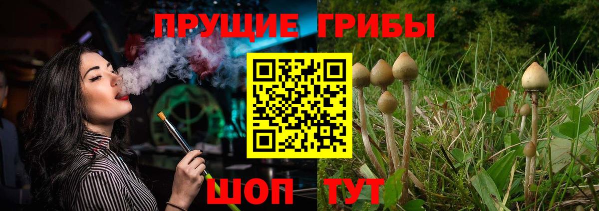 Галлюциногенные грибы Psilocybine cubensis Железноводск