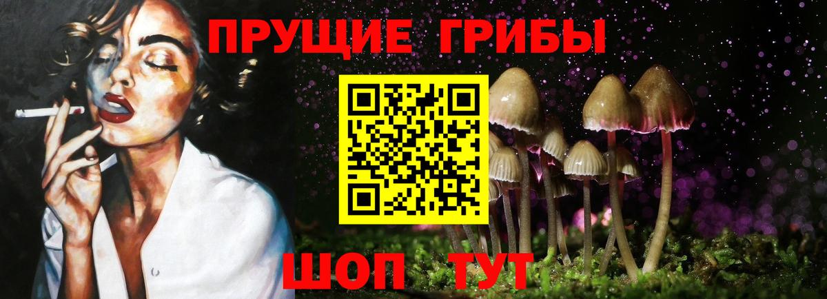 Железноводск  закладка  Вход с VPN  Галлюциногенные грибы мицелий 