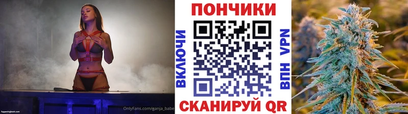 Конопля сатива  Железноводск 