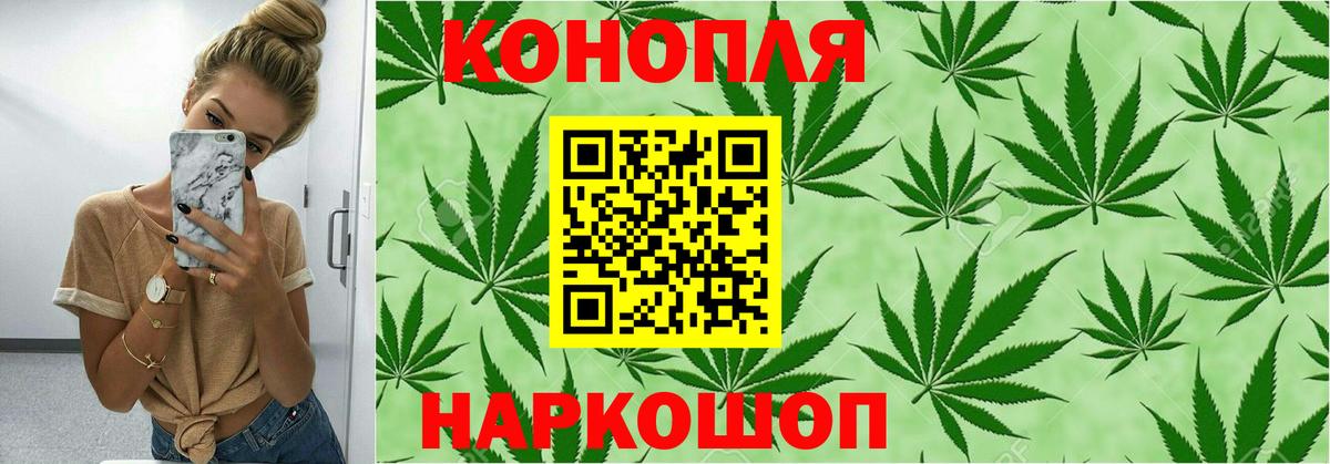 МАРИХУАНА конопля Железноводск